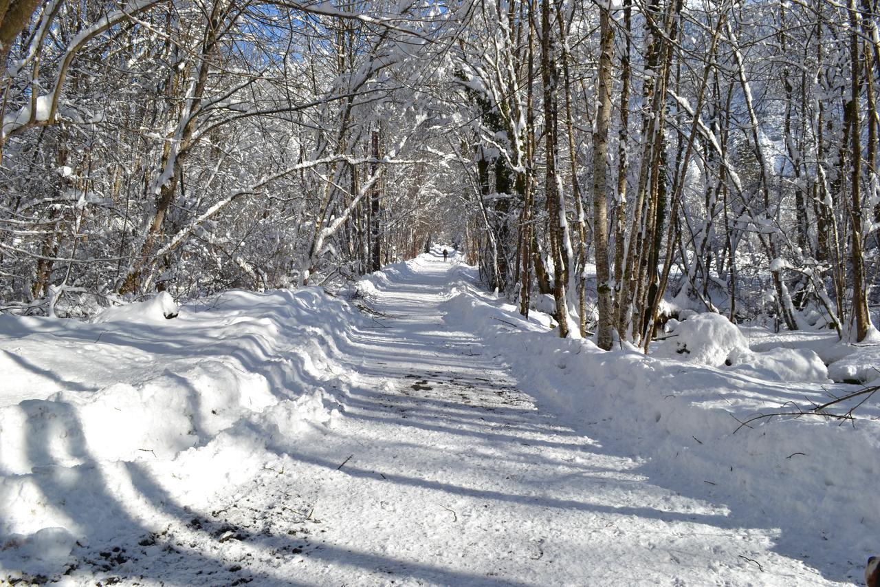 La Cle Des Bois Bed & Breakfast Le Bourg-d'Oisans Luaran gambar